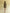 Wild Dusk Mini Dress
