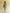 Wild Dawn Mini Dress