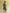 Wild Dusk Off Shoulder Top & Skirt Set