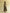 Wild Dusk Cut Out Flared Dress