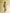Wild Dawn Cape Top & Skirt Set