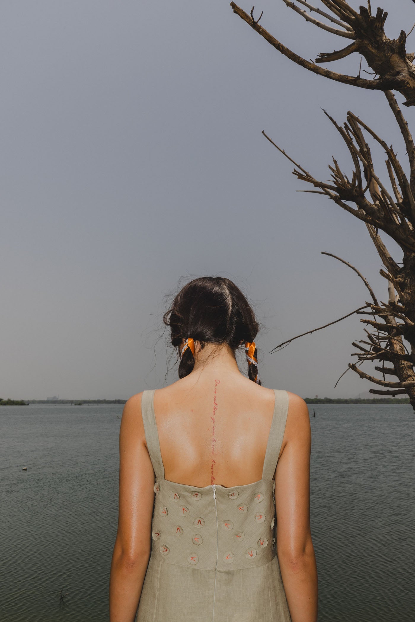 Horseshoe Short Dress