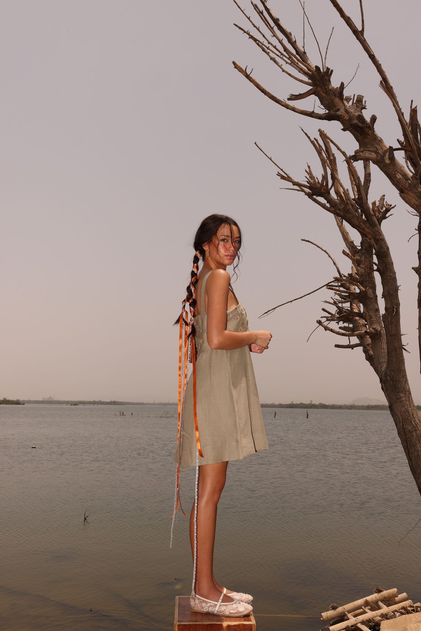 Horseshoe Short Dress