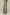 Spring_Rain_Green-03