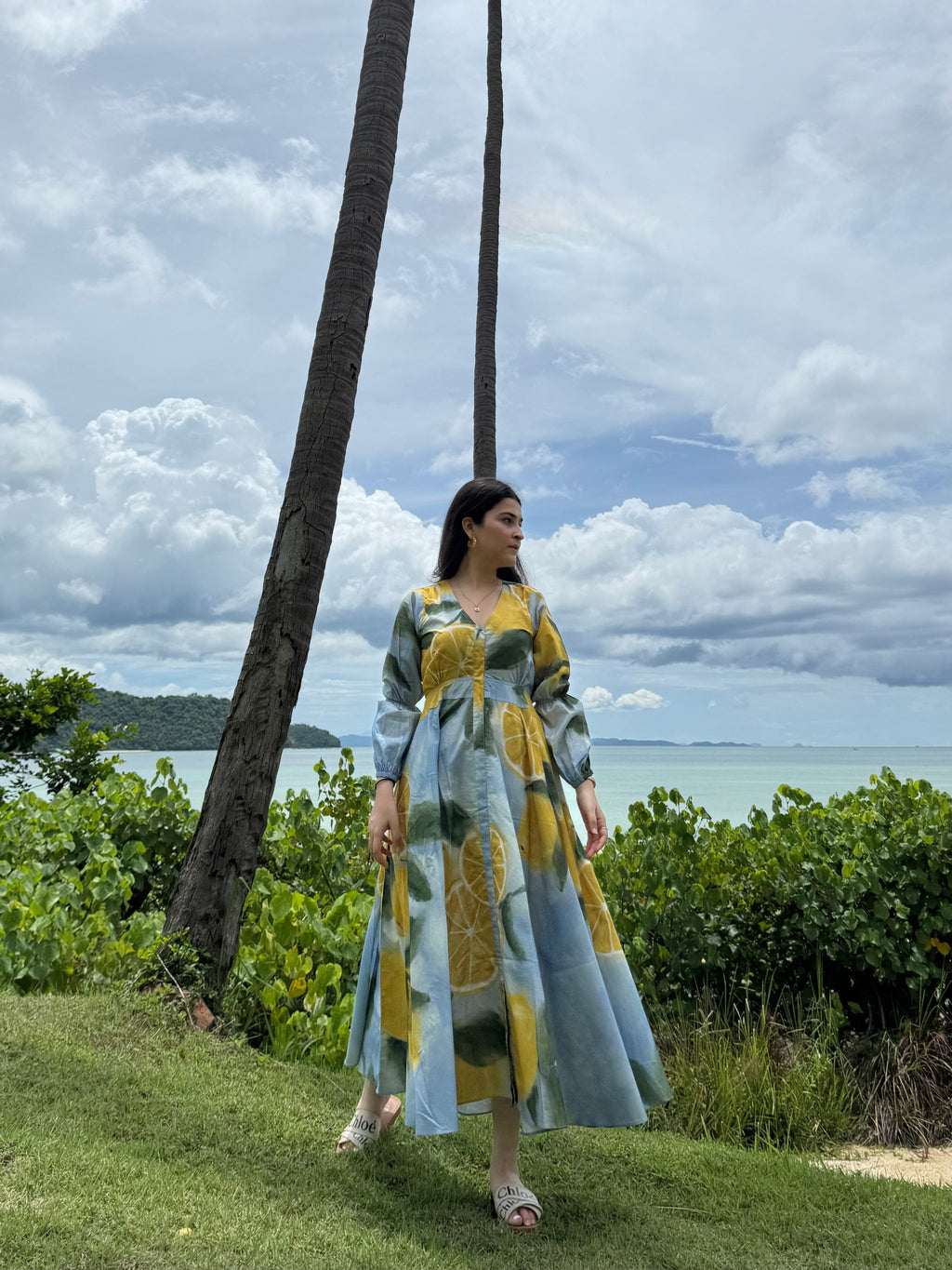 Selene Dress in Limoncello Print