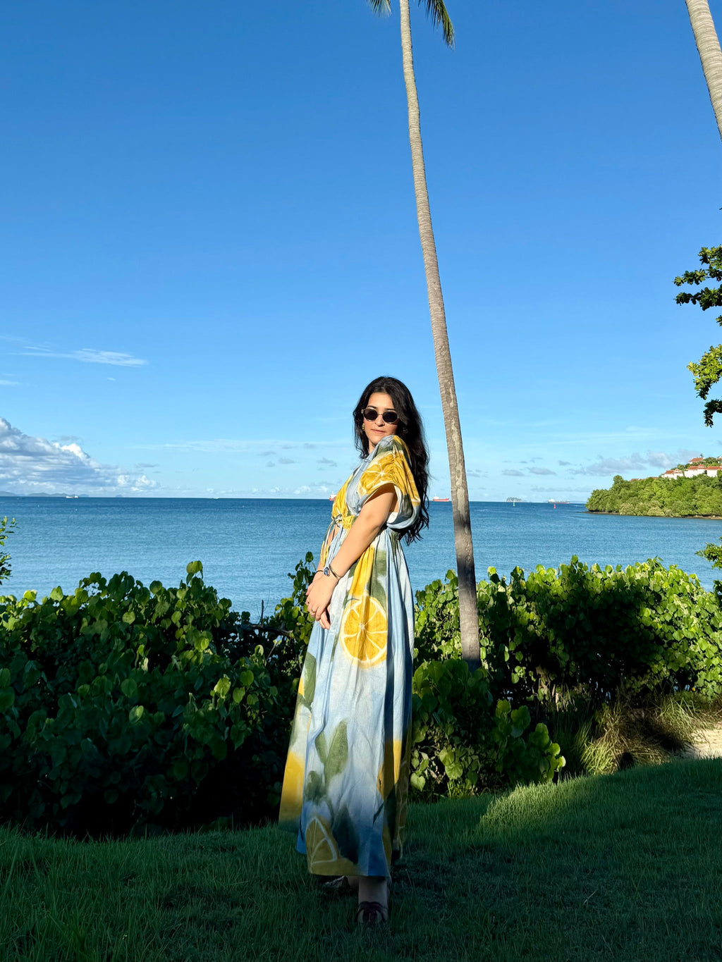 Nirvana Dress in Limoncello Print