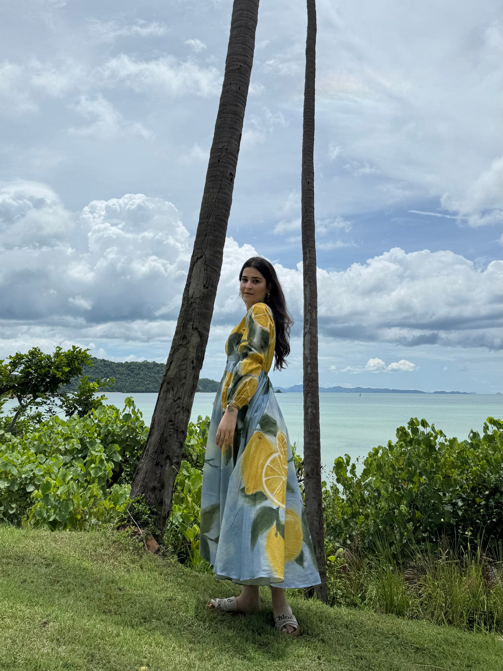 Selene Dress in Limoncello Print
