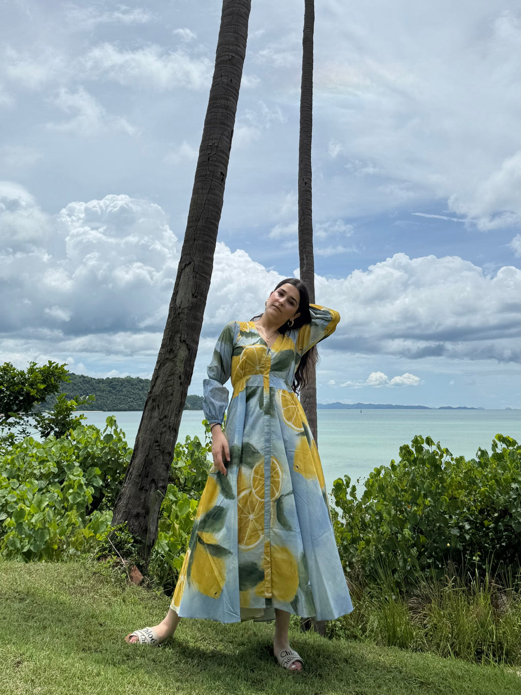 Selene Dress in Limoncello Print