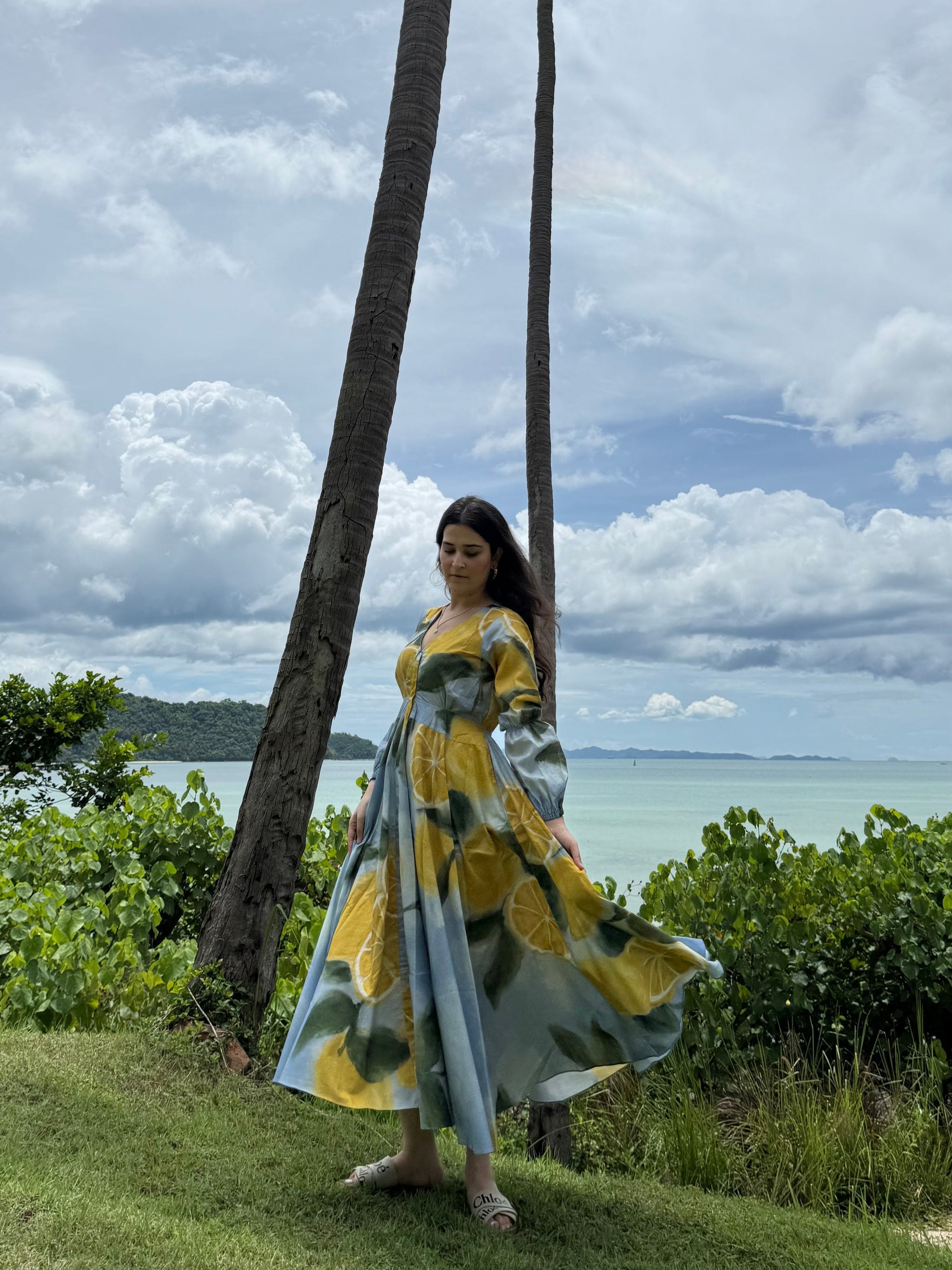 Selene Dress in Limoncello Print