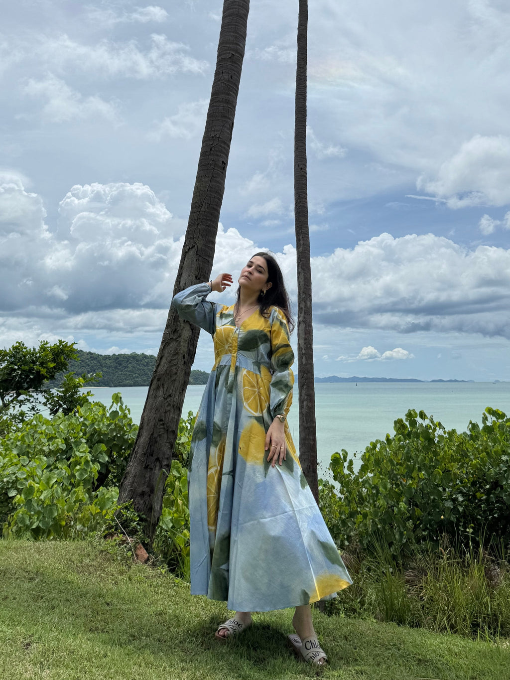 Selene Dress in Limoncello Print