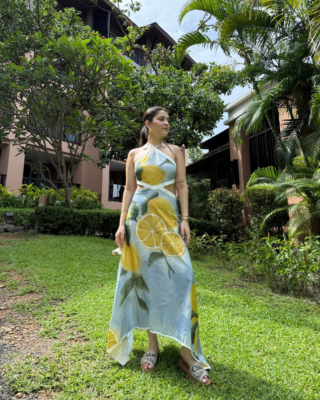 Aaleyah Dress in Limoncello Print