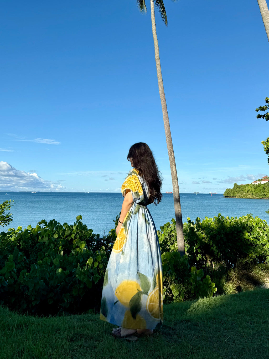 Nirvana Dress in Limoncello Print