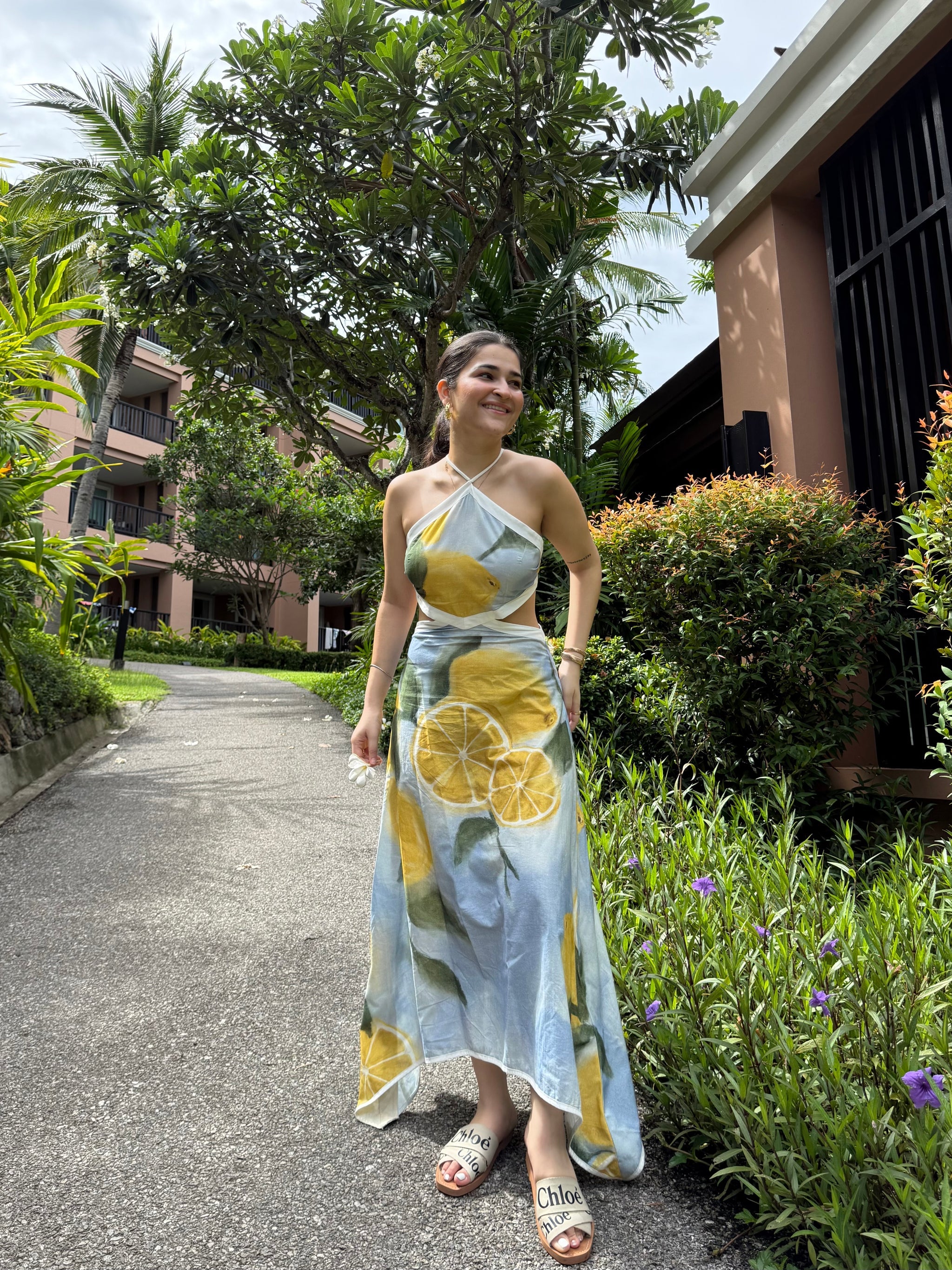 Aaleyah Dress in Limoncello Print