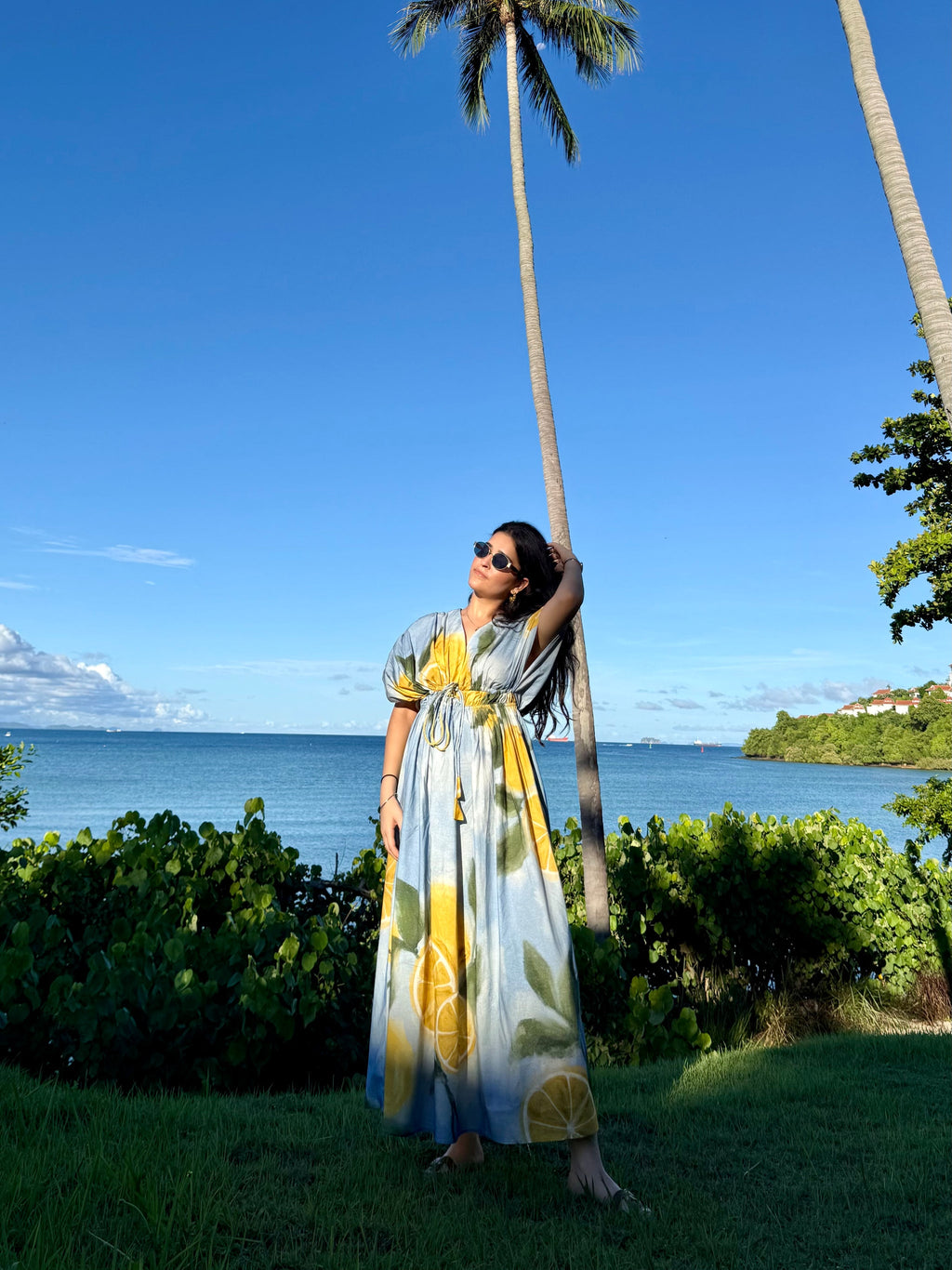 Nirvana Dress in Limoncello Print