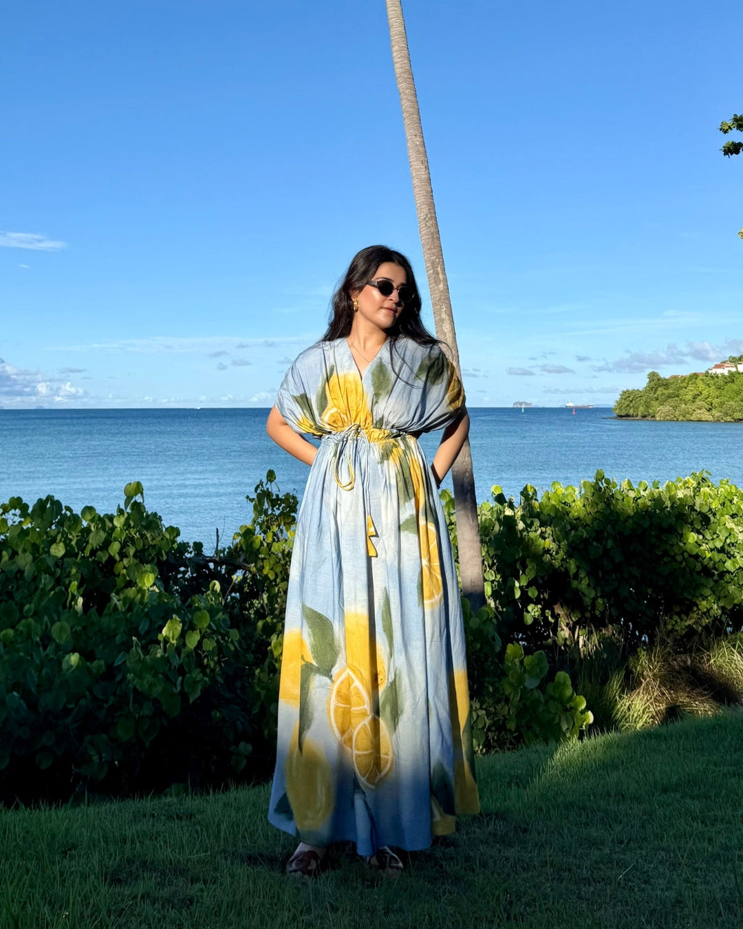 Nirvana Dress in Limoncello Print