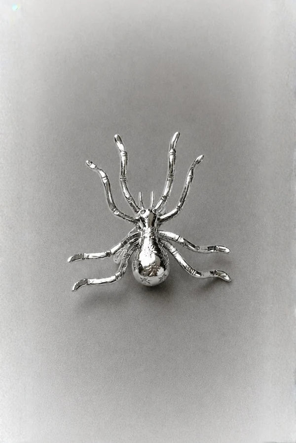 Spider brooch