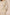 Beige dress with blue pattern on a beige background Calling June