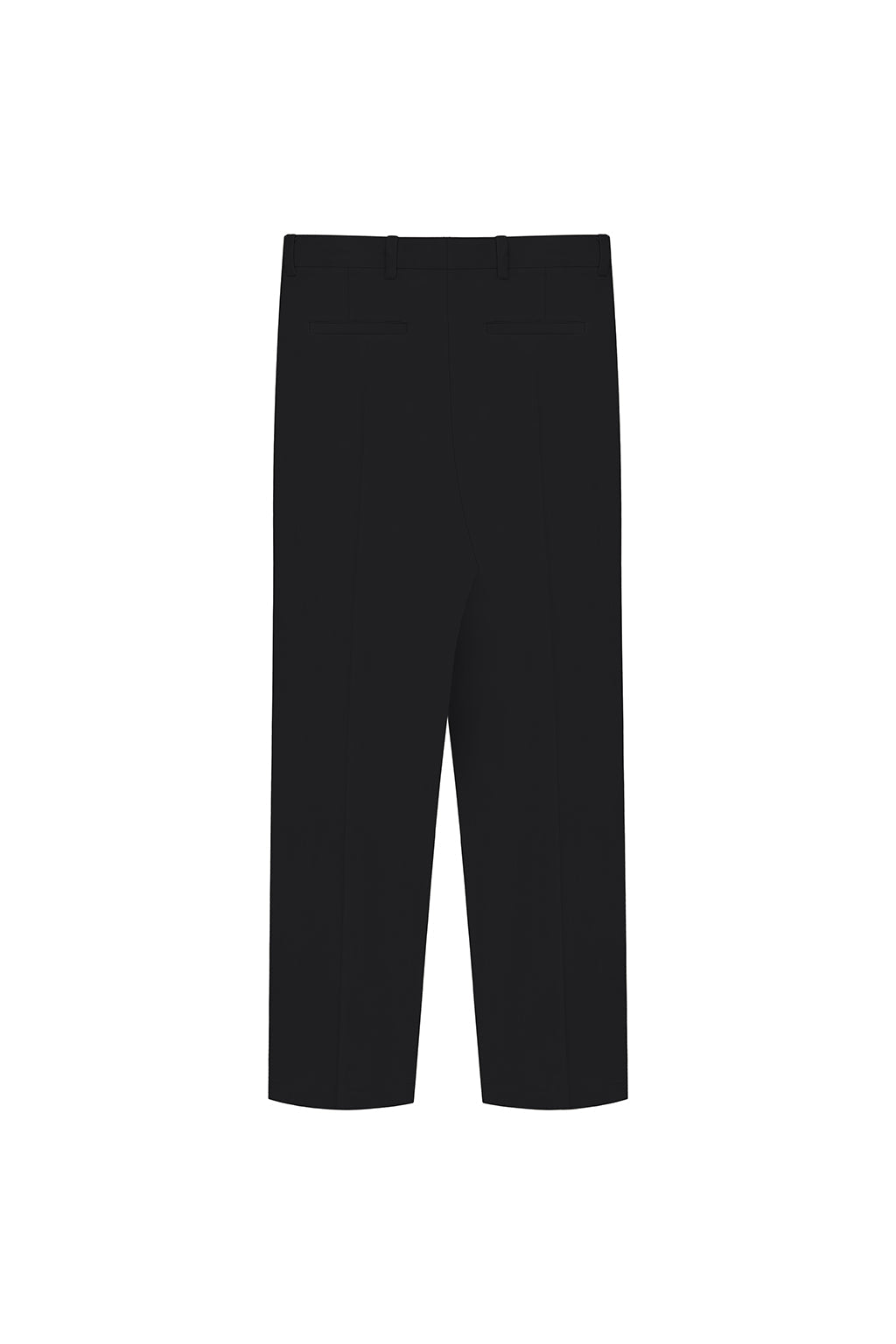 Double Pleated Trousers