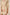 Beige floral dress with a drawstring waist on a plain background Calling June
